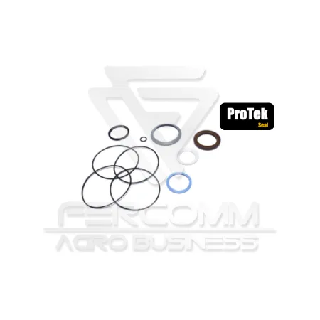 Kit Reparo Motor Char-lynn 2000 (CNH)